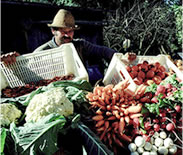 Foto 01